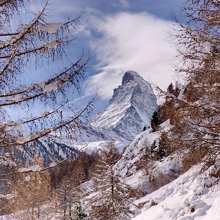 Chalet Zen Zermatt, 100M From Ski Lift And Piste Esterno foto